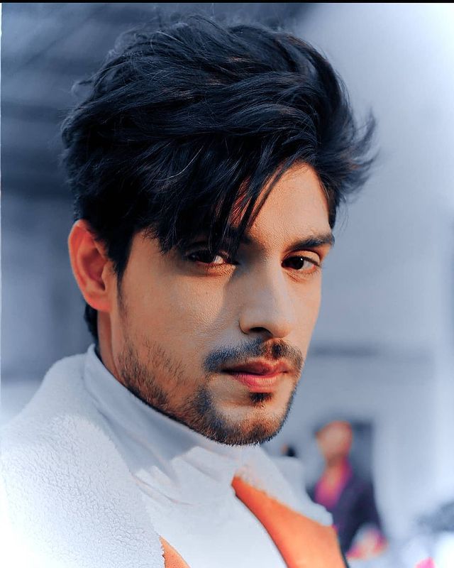 Ankit Gupta Age, Bio, Height, Wife, Girlfriend, Instagram, Serials